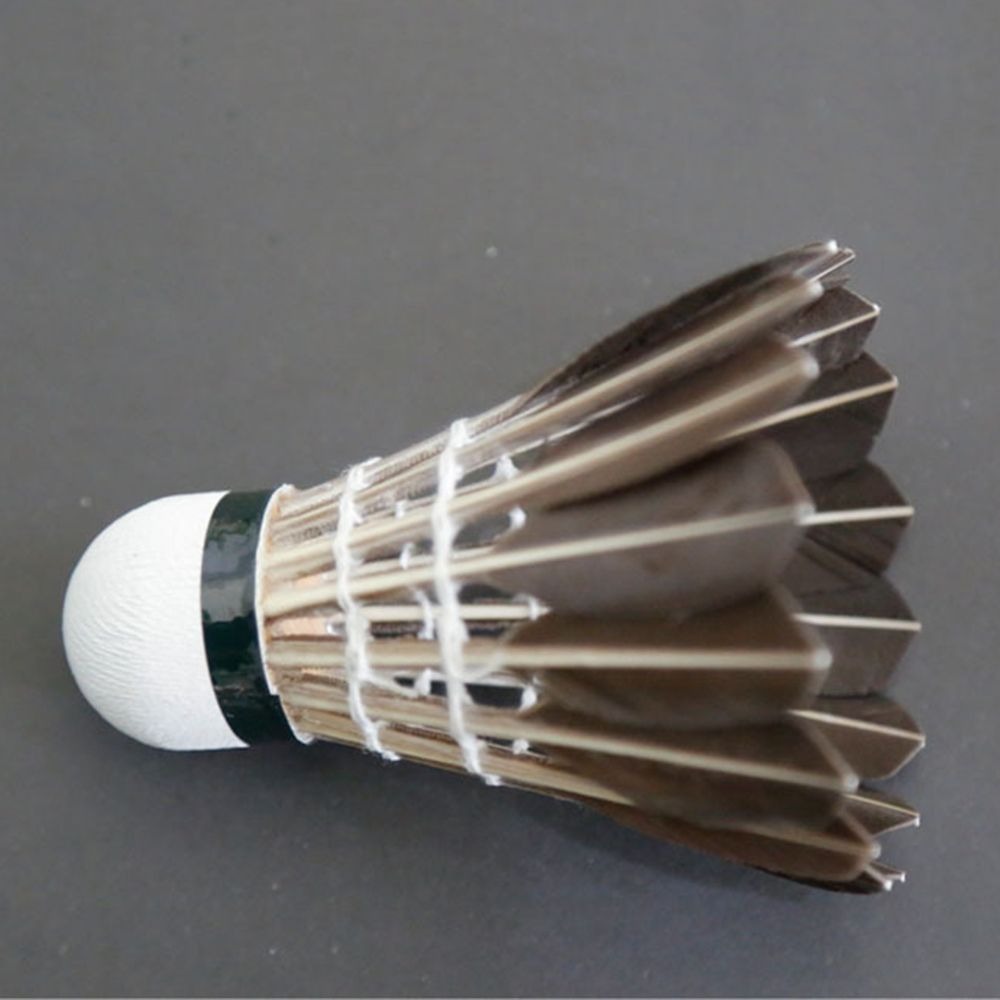 3/6/12Pcs Accessories Stable S - Feather Shuttlecock 评论和价格
